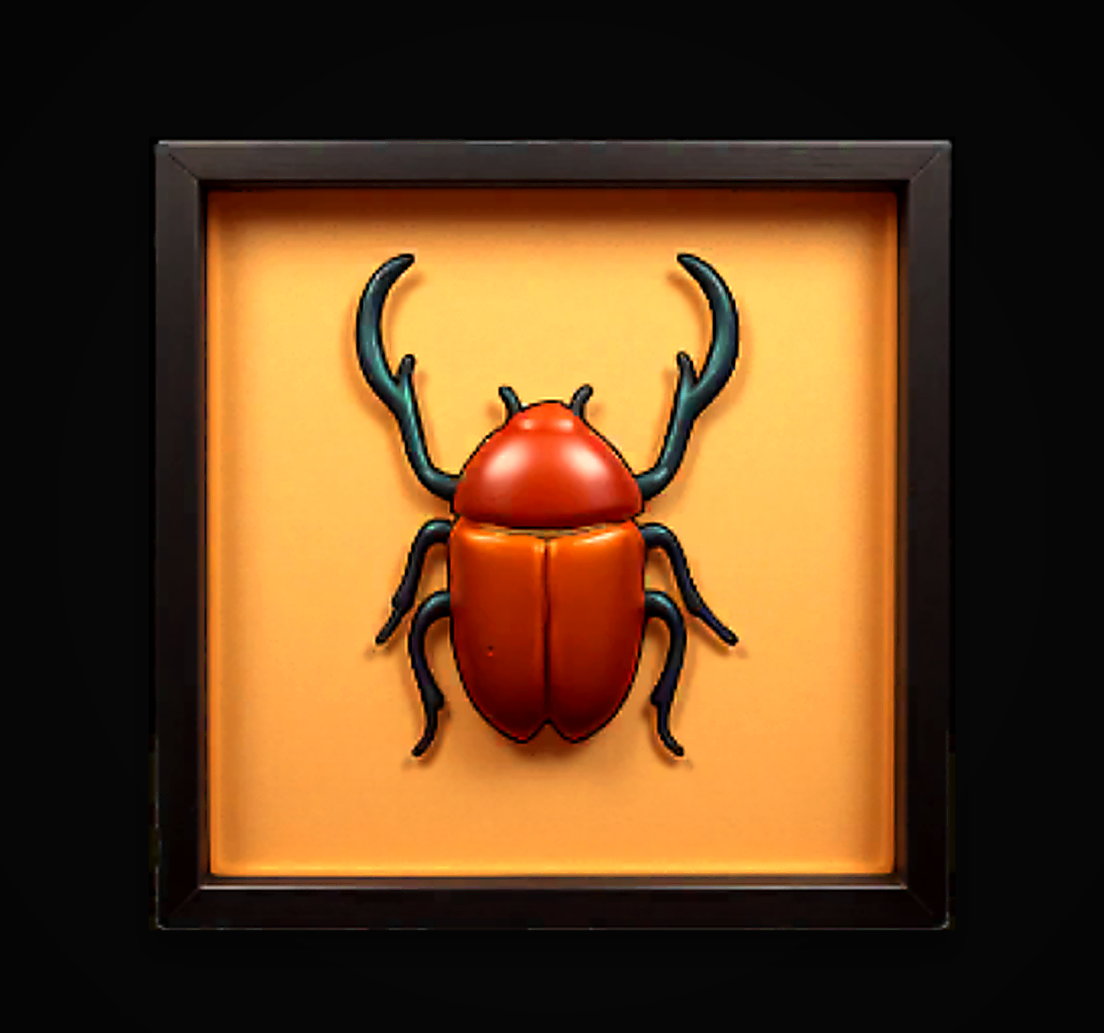 Beetle Specimen