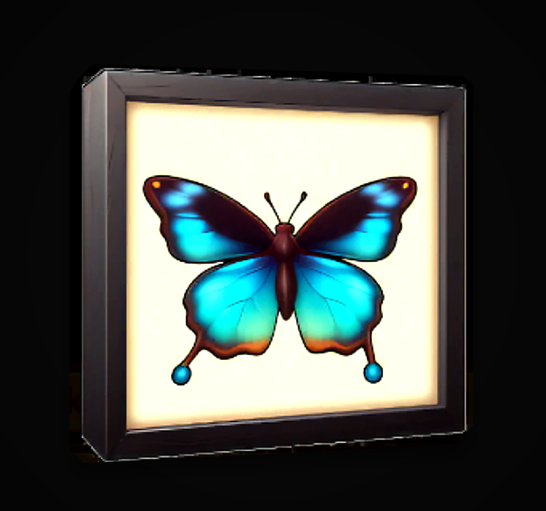Butterfly Specimen