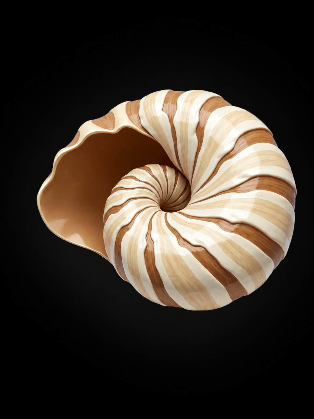 Nautilus Specimen