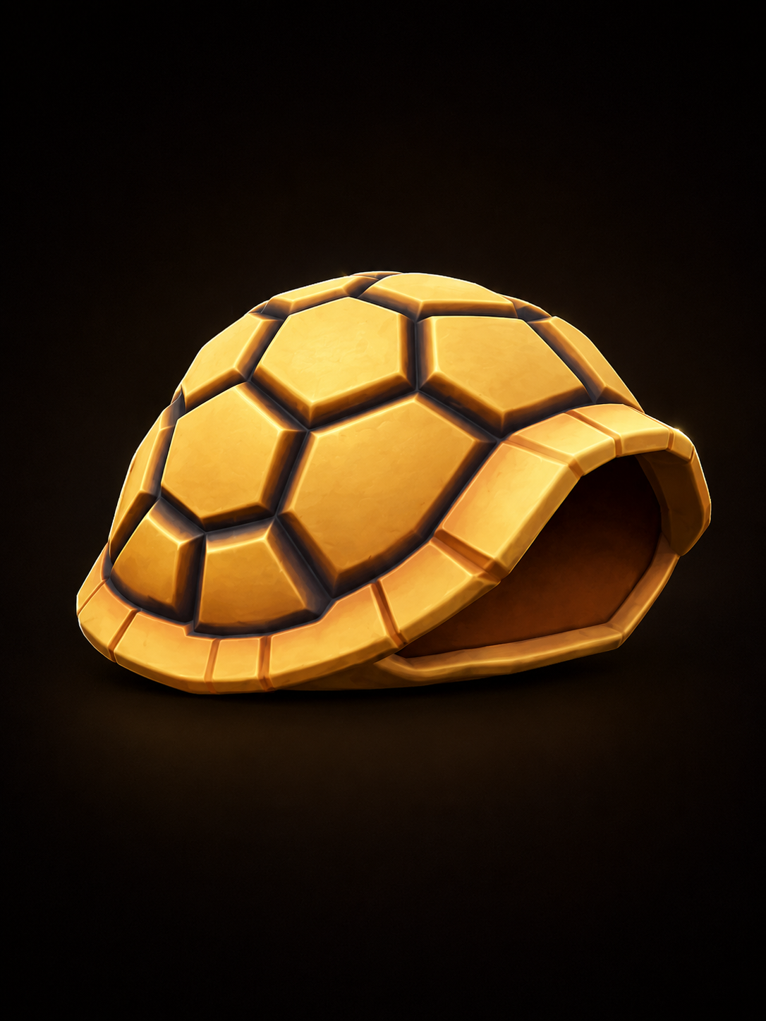 Turtle Shell Specimen